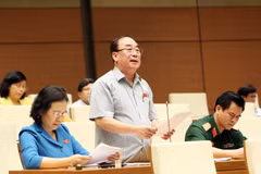 Đại biểu Quốc hội thành phố Hải Phòng Trần Ngọc Vinh phát biểu ý kiến. (Ảnh: Phạm Kiên/TTXVN)