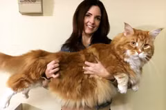 Omar bên người chủ của mình. (Nguồn: Instagram)