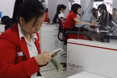 VAMC giảm lãi suất các khoản nợ xấu đã mua bằng USD 