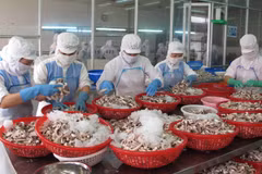 HSBC: Kinh tế Việt Nam sẽ tươi sáng hơn trong ngắn hạn 