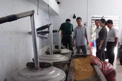 Ảnh chỉ có tính minh họa. (Ảnh: Thanh Hòa/TTXVN)