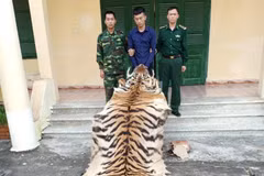 Toàn bộ tang vật thu giữ được. (Ảnh: Văn Đức/TTXVN)