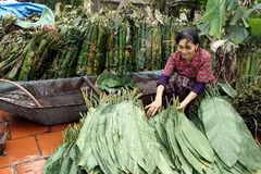 (Ảnh minh họa: TTXVN)