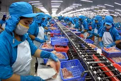 Chế biến cá tra xuất khẩu tại Công ty TNHH Công nghệ Thủy sản miền Nam, Cần Thơ. (Ảnh: TTXVN)