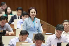 Đại biểu Quốc hội tỉnh Ninh Bình Trần Thị Hồng Thanh phát biểu ý kiến. (Ảnh: Doãn Tấn/TTXVN)