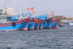 Ảnh minh họa. (Nguồn: TTXVN)