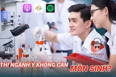 (Nguồn: Vietnam+)