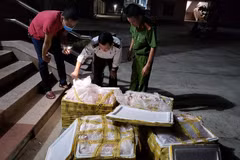 Số nội tạng bị phát hiện, bắt giữ. (Nguồn: PLO)