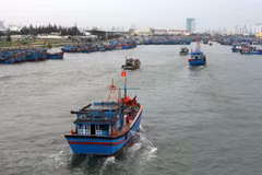 Các phương tiện tàu thuyền di chuyển về nơi neo đậu để tránh bão. (Ảnh minh họa. Nguồn: TTXVN