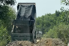 Một số đối tượng dùng xe tải chặn đầu, đổ đất bịt kín lối ra khỏi mỏ đất để uy hiếp phóng viên. (Ảnh: Lê Ngọc Phước/TTXVN)