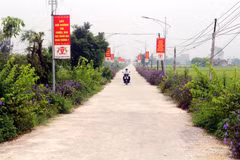 Đường giao thông nông thôn. (Ảnh minh họa. Nguồn: TTXVN)