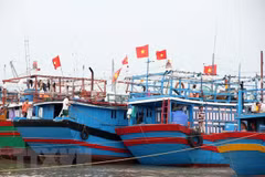 Tàu thuyền neo đậu tránh trú bão. (Ảnh minh họa: TTXVN)