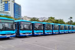 Hà Nội tiếp tục thay thế nhiều xe buýt mới chất lượng cao nhằm nâng cao chất lượng dịch vụ. (Ảnh: Transerco cung cấp)