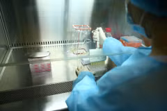 Thực hiện phân lập virus của nhóm khoa học nữ tại Viện Vệ sinh Dịch tễ Trung ương. (Ảnh: Minh Quyết/TTXVN)