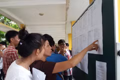 Thí sinh, phụ huynh tìm hiểu thông tin để làm hồ sơ xét tuyển đại học. (Ảnh: Phạm Mai/Vietnam+)