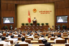 Quốc hội: Đảm bảo linh hoạt trong kiềm chế giá xăng dầu tăng cao