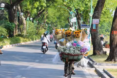 Xe hoa rong trên đường Thanh Niên. (Ảnh: Khánh Hoà/TTXVN)