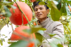 Ảnh minh họa. (Nguồn: Vietnam+)