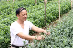 Ảnh minh họa. (Nguồn: TTXVN)