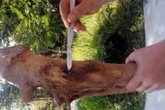 Vị trí viên đạn được tìm thấy trong xương chân của tê giác. (Nguồn: WWF Việt Nam)