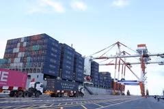 Hoạt động bốc xếp hàng hóa tại Cảng container quốc tế Hải Phòng. (Nguồn: TTXVN)