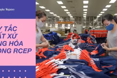 [Mega Story] Quy định về quy tắc xuất xứ hàng hóa trong RCEP