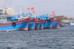 Bộ Nông nghiệp và Phát triển nông thôn yêu cầu xử lý triệt để tàu cá mất kết nối hơn 10 ngày trên biển. (Nguồn: TTXVN) 