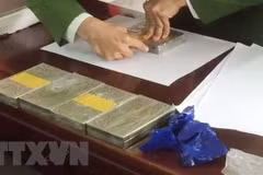 Ảnh minh họa. (Nguồn: TTXVN)