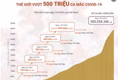 [Infographics] Thế giới đã vượt mốc 500 triệu ca mắc COVID-19
