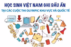 Học sinh Việt Nam ghi dấu ấn ở các cuộc thi Olympic khu vực, quốc tế
