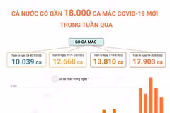 [Infographics] Cả nước có gần 18.000 ca mắc COVID-19 trong tuần qua