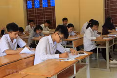 Ảnh minh họa. (Nguồn: TTXVN)