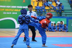 Một nội dung thi đấu đối kháng tại giải vô địch Vovinam Học sinh toàn quốc 2018. (Ảnh: PV/Vietnam+)
