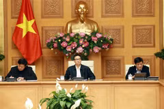 Phó Thủ tướng Chính phủ Vũ Đức Đam phát biểu. (Ảnh: Doãn Tấn/TTXVN)