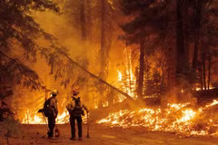 Cháy rừng dữ dội tại cộng đồng Prattville ở hạt Plumas, California (Mỹ) hồi tháng 7/2021. (Ảnh: AFP/TTXVN)