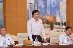 Chủ nhiệm Văn phòng Quốc hội Nguyễn Hạnh Phúc phát biểu ý kiến. (Ảnh: Phương Hoa/TTXVN)