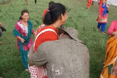 Bức ảnh được cho là ông Hari Prasad Parajuli đang có hành vi sàm sỡ một phụ nữ (Nguồn: ​OnlineKhabar)