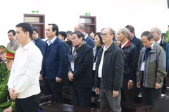 Các bị cáo nghe hội đồng xét xử đọc bản tuyên án. (Ảnh: Doãn Tấn/TTXVN)