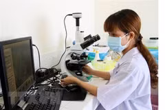 Kiểm tra chất lượng tôm giống trước khi xuất bán nuôi thương phẩm. (Nguồn: TTXVN)