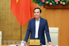 Phó Thủ tướng Trần Lưu Quang. (Ảnh: Thanh Thảo/TTXVN phát) 