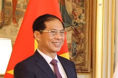 Bộ trưởng Bộ Ngoại giao Bùi Thanh Sơn. (Ảnh: Thu Hà/TTXVN)