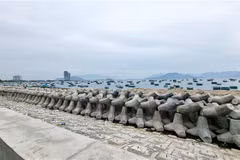 Tuyến đê biển tại phường Đông Hải (thành phố Phan Rang-Tháp Chàm, tỉnh Ninh Thuận) được xây dựng kiên cố nhằm ngăn sóng biển xâm thực. (Ảnh: Nguyễn Thành/TTXVN)