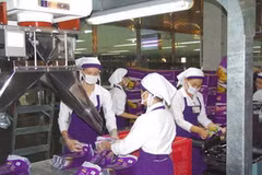 Một dây chuyền đống gói của VINAMIT. (Nguồn: Internet)