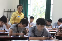(Ảnh minh họa: PV/Vietnam+)