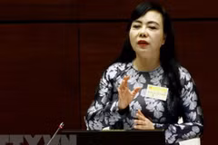 Bộ trưởng Bộ Y tế Nguyễn Thị Kim Tiến. (Ảnh: TTXVN)