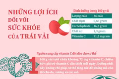 [Infographics] Những lợi ích đối với sức khỏe của trái vải