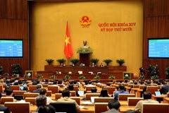 Một phiên họp của Quốc hội. (Ảnh: Doãn Tấn/TTXVN) 