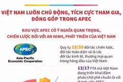 Việt Nam luôn chủ động, tích cực tham gia, đóng góp trong APEC