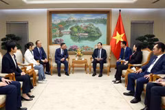 Phó Thủ tướng Chính phủ Trần Lưu Quang tiếp Chủ tịch Tập đoàn Sunny Diệp Liêu Ninh. (Ảnh: Phạm Kiên/TTXVN)