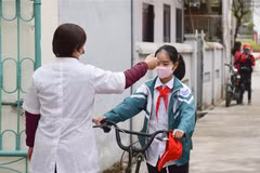 (Ảnh minh họa: Xuân Tư/TTXVN) 